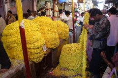 29-Devaraj Market, flowers